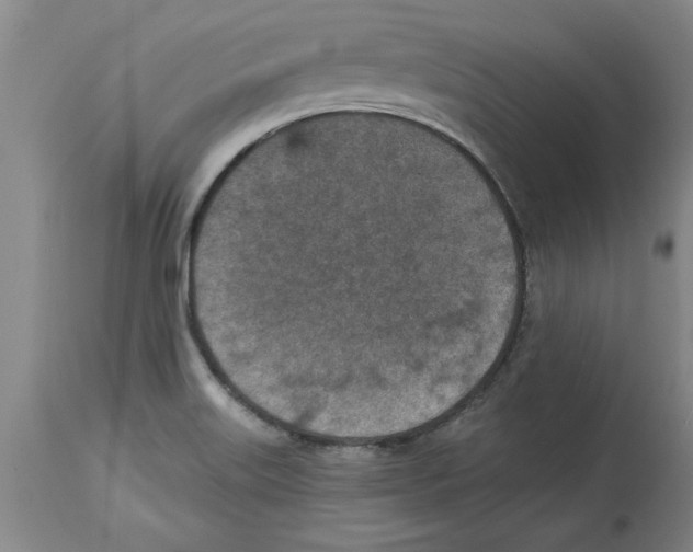 X0000114691515200911181241