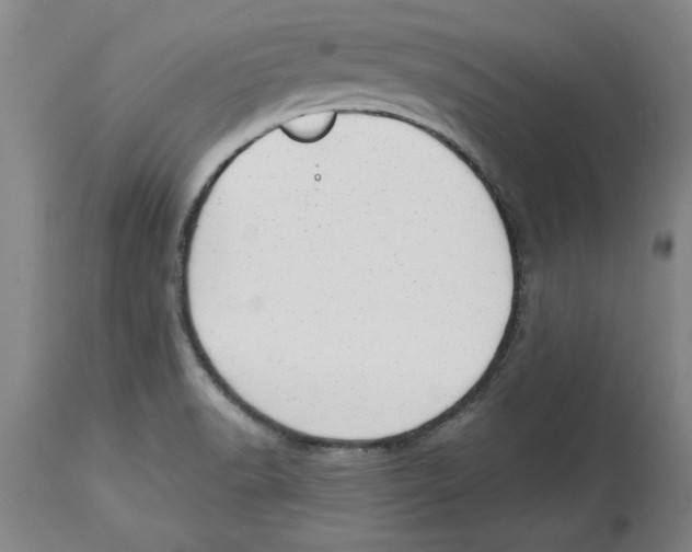 X0000114691518200911181242