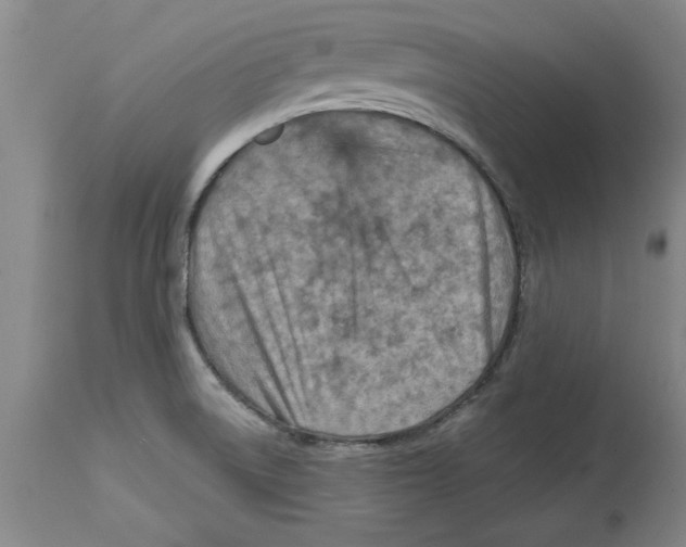 X0000114691522200911181242