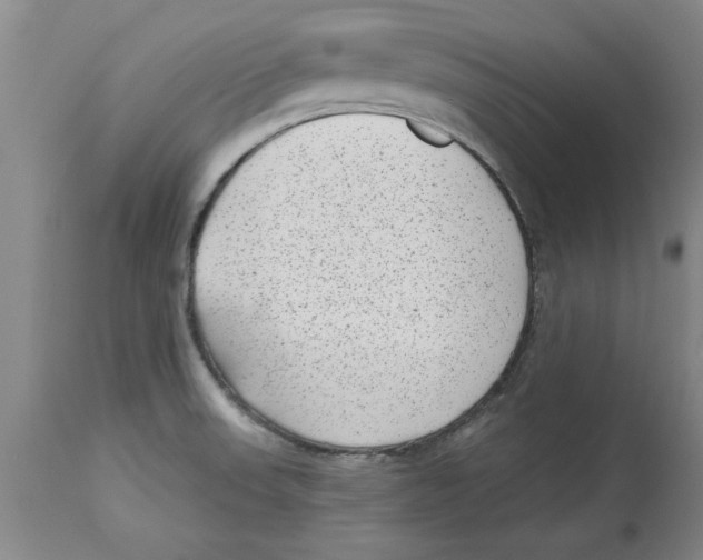 X0000114691523200911181242