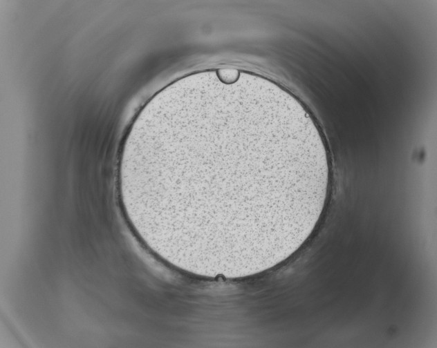 X0000114691525200911181242