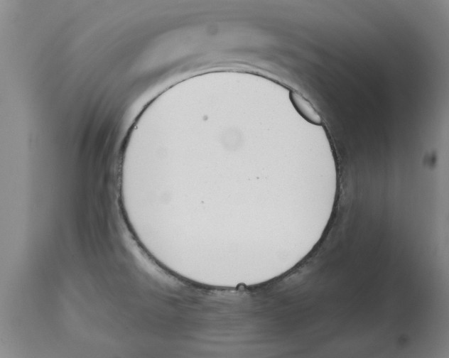 X0000114691526200911181242