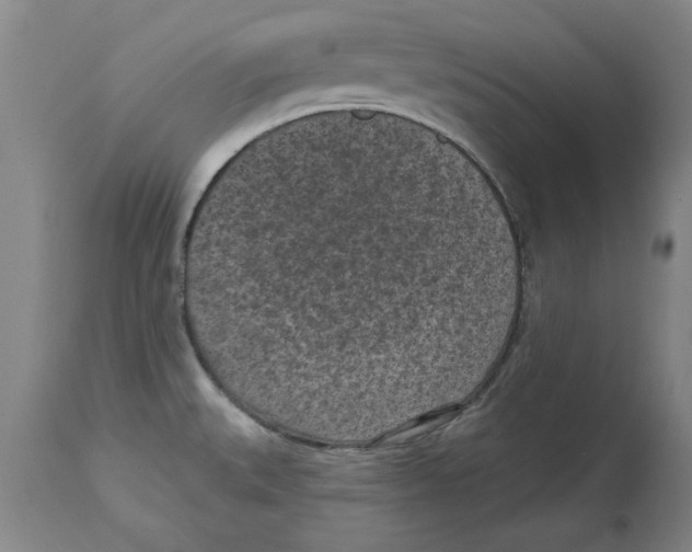 X0000114691527200911181242