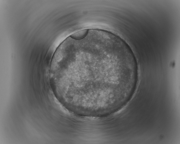 X0000114691529200911181242