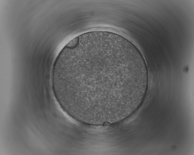 X0000114691533200911181242