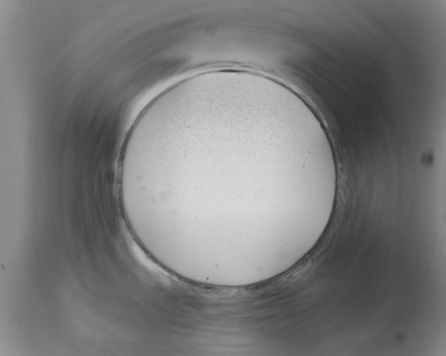 X0000114691535200911181242