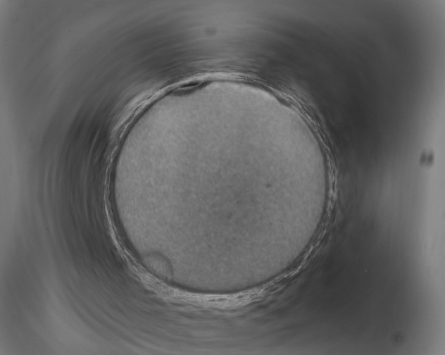 X0000114690001200912021056