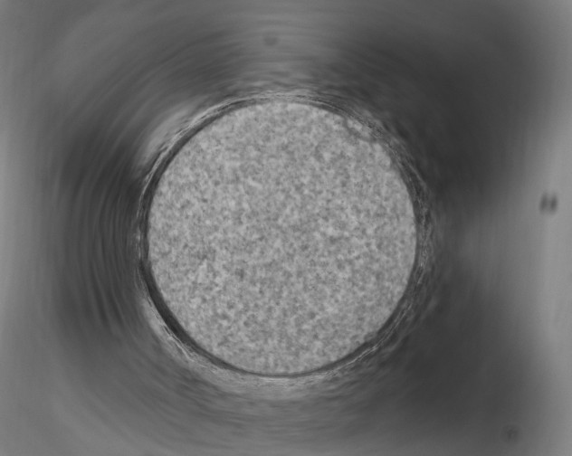 X0000114690002200912021056