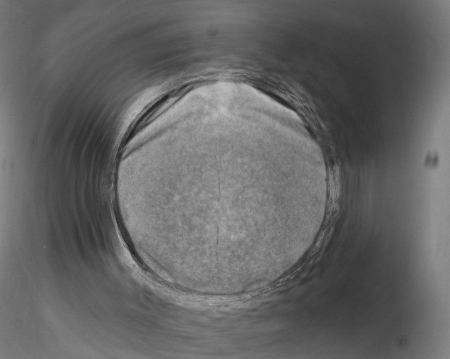 X0000114690003200912021056
