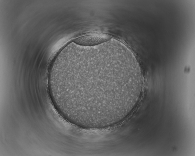 X0000114690005200912021056