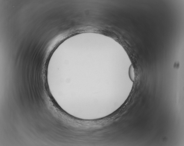 X0000114690006200912021056