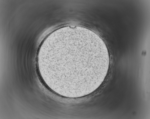 X0000114690007200912021056