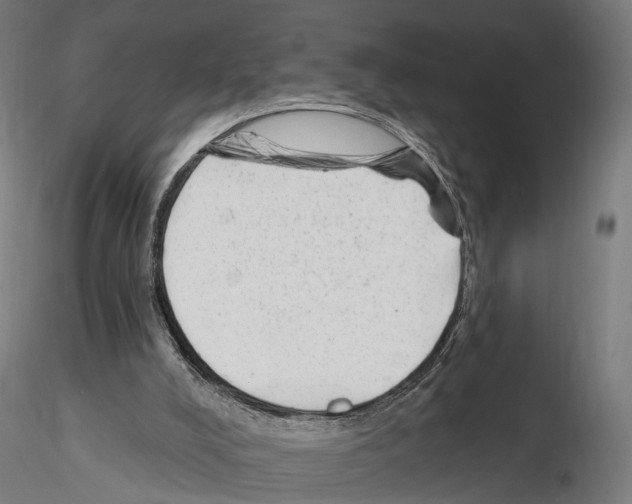 X0000114690008200912021056
