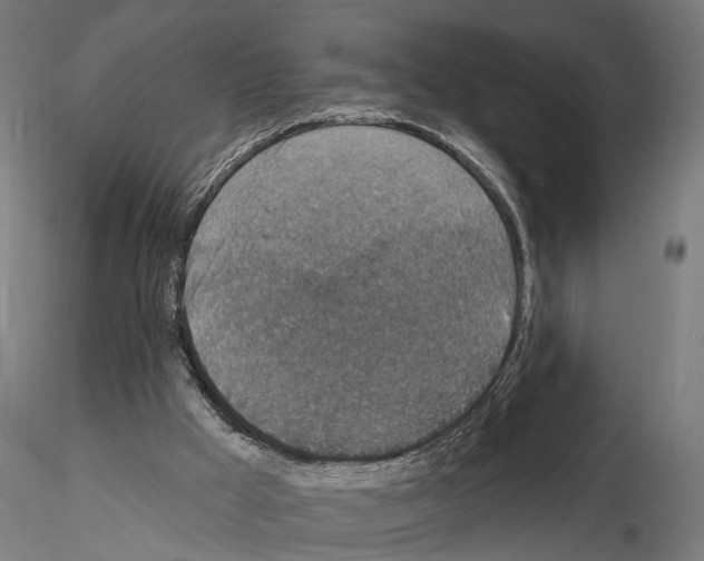 X0000114690009200912021056
