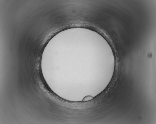 X0000114690010200912021056