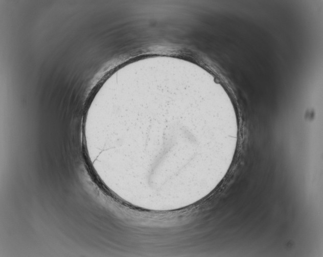 X0000114690011200912021056