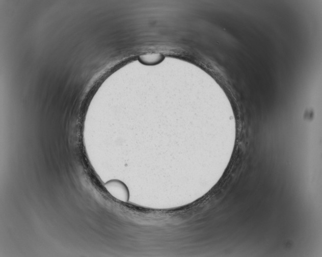 X0000114690012200912021055
