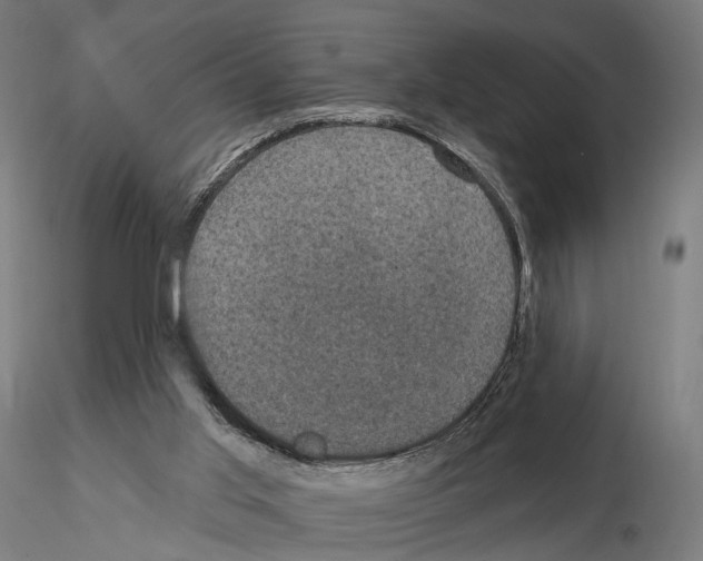 X0000114690013200912021055