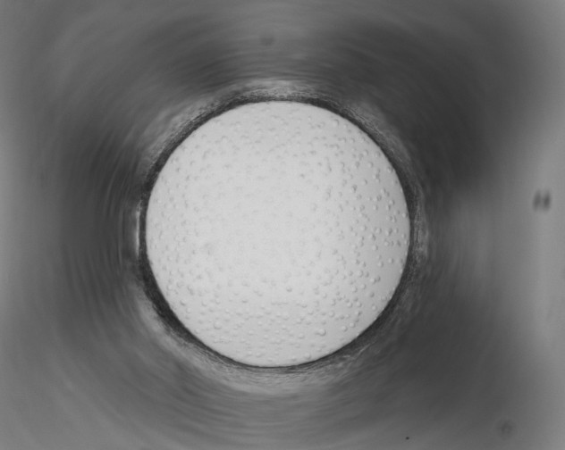 X0000114690014200912021055