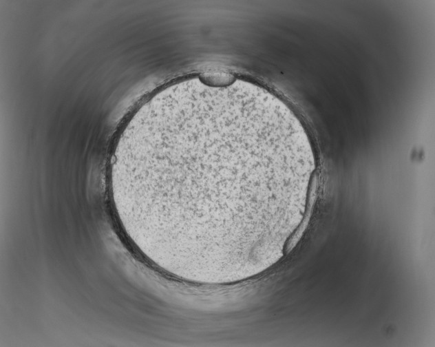 X0000114690015200912021055