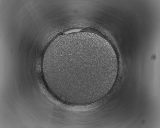 X0000114690017200912021055