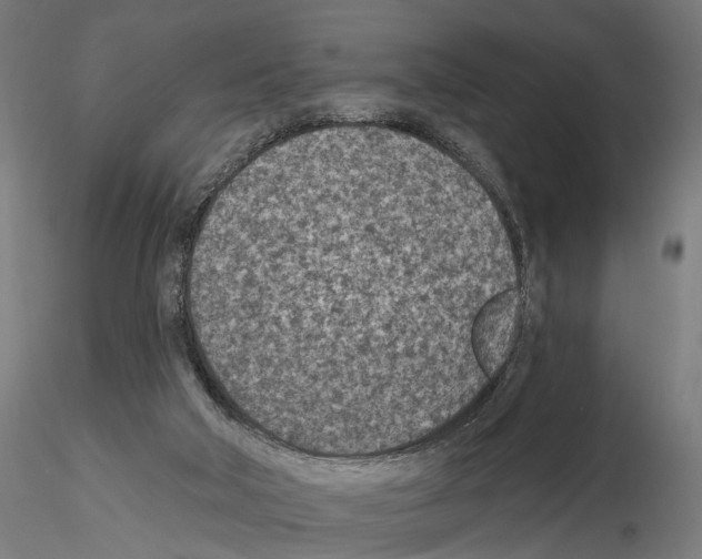 X0000114690018200912021055