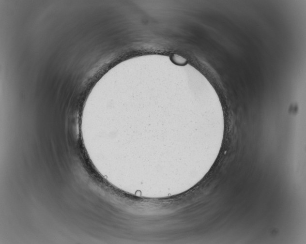 X0000114690020200912021055