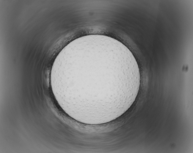 X0000114690022200912021055