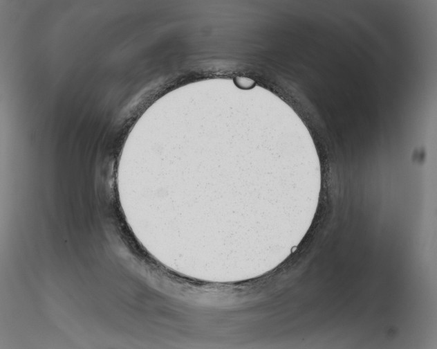 X0000114690024200912021055