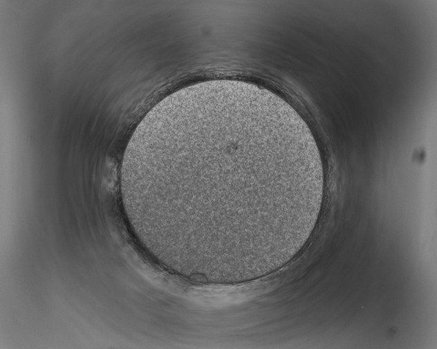 X0000114690025200912021055