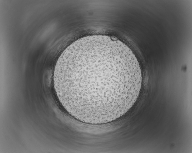 X0000114690026200912021055