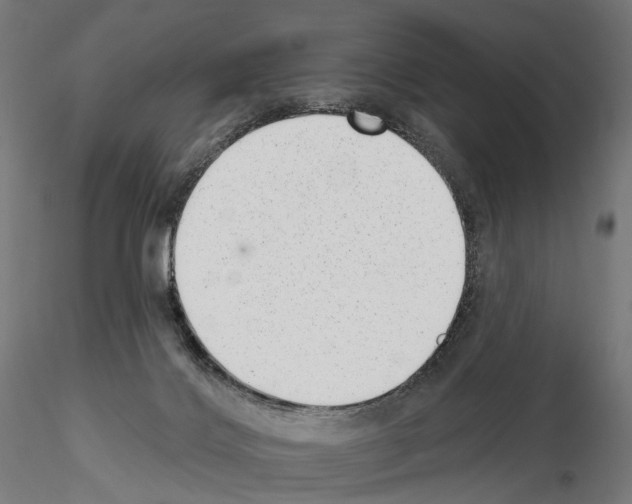 X0000114690028200912021055