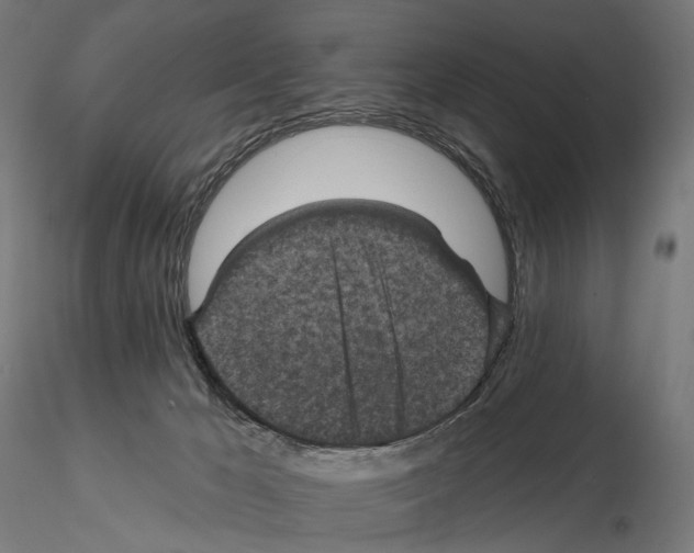 X0000114690029200912021055
