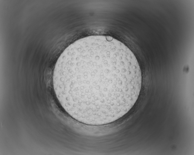 X0000114690030200912021055