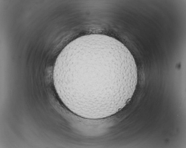 X0000114690034200912021055
