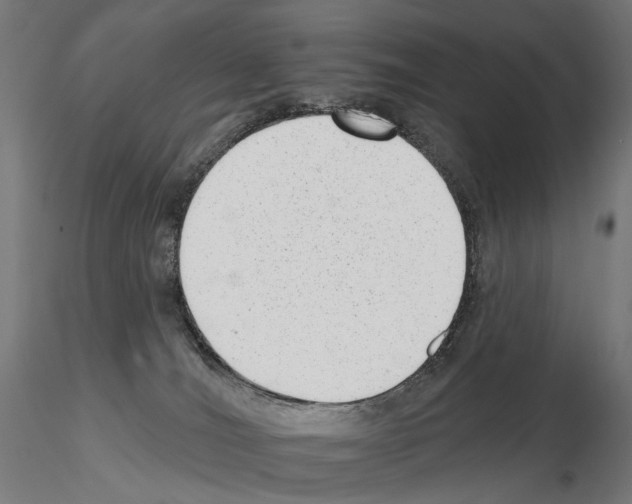 X0000114690036200912021055