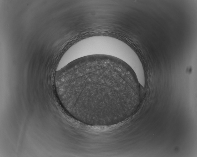 X0000114690037200912021055