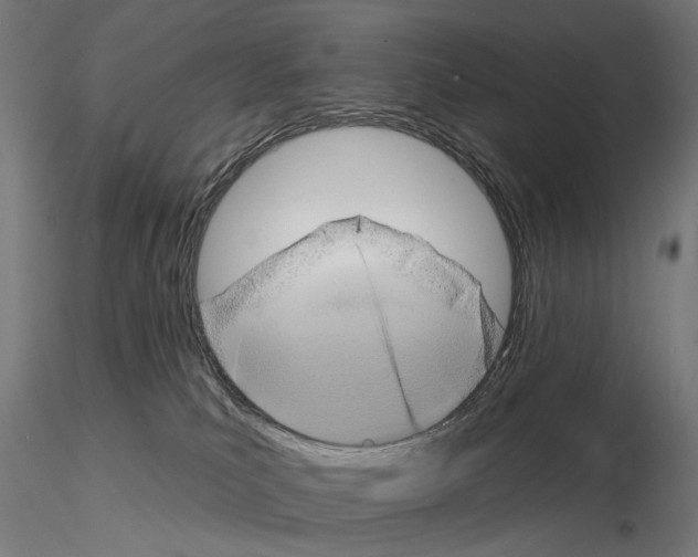 X0000114690039200912021055