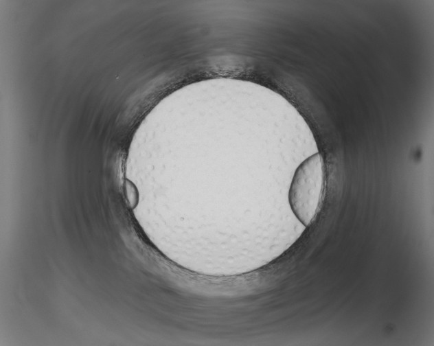 X0000114690042200912021055