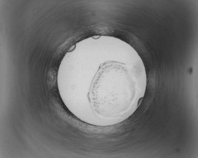 X0000114690043200912021055