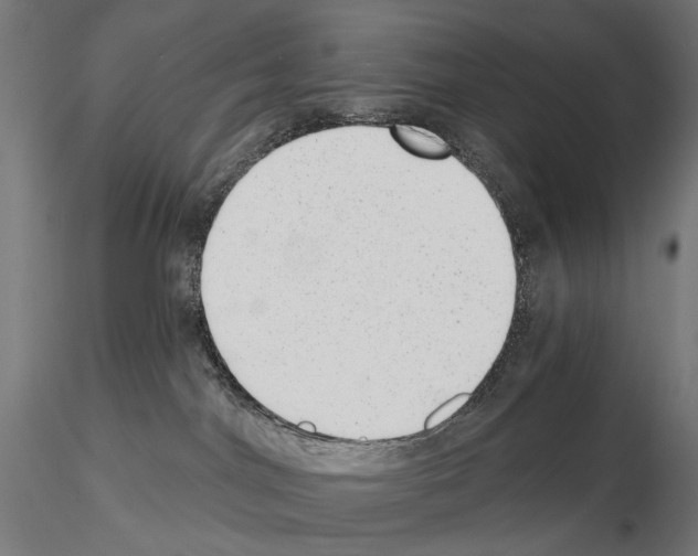 X0000114690044200912021055