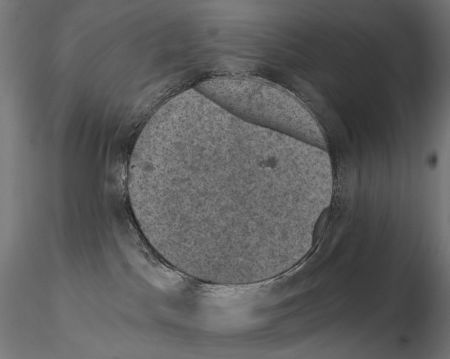 X0000114690045200912021055