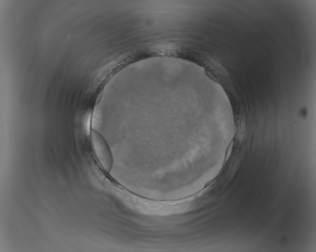 X0000114690047200912021055