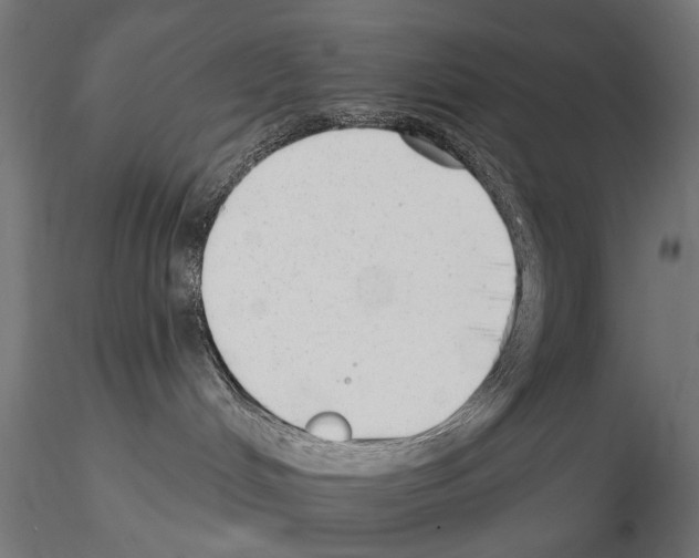 X0000114690048200912021055