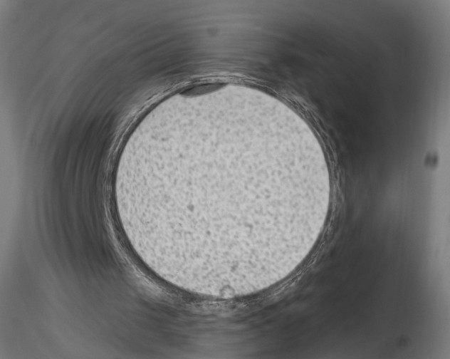 X0000114690049200912021054