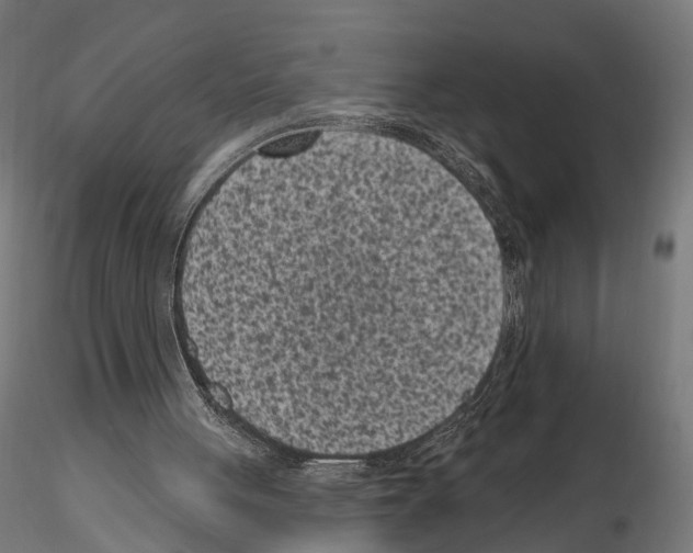 X0000114690051200912021054