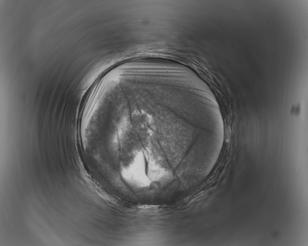 X0000114690052200912021054
