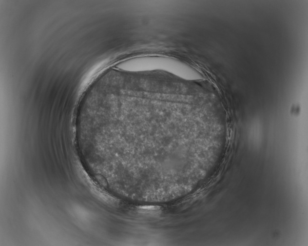 X0000114690053200912021054