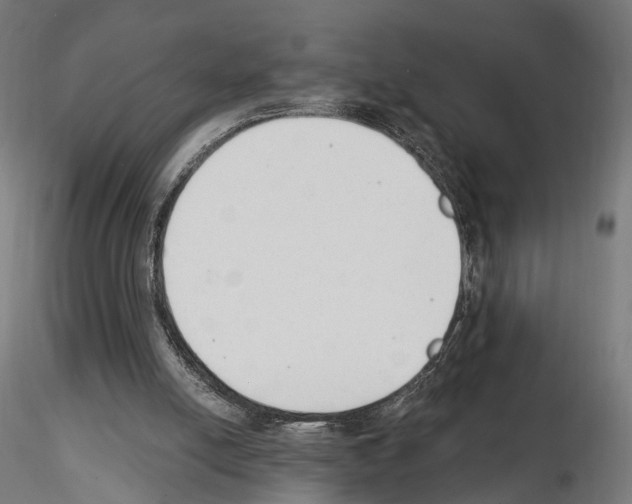 X0000114690054200912021054