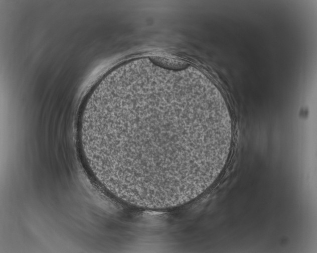 X0000114690055200912021054